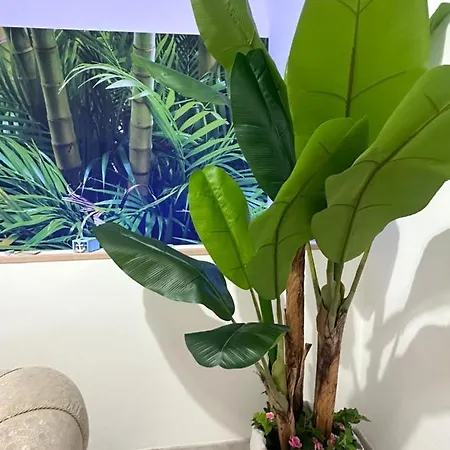 Dolce Notte Bed & Breakfast Taranto